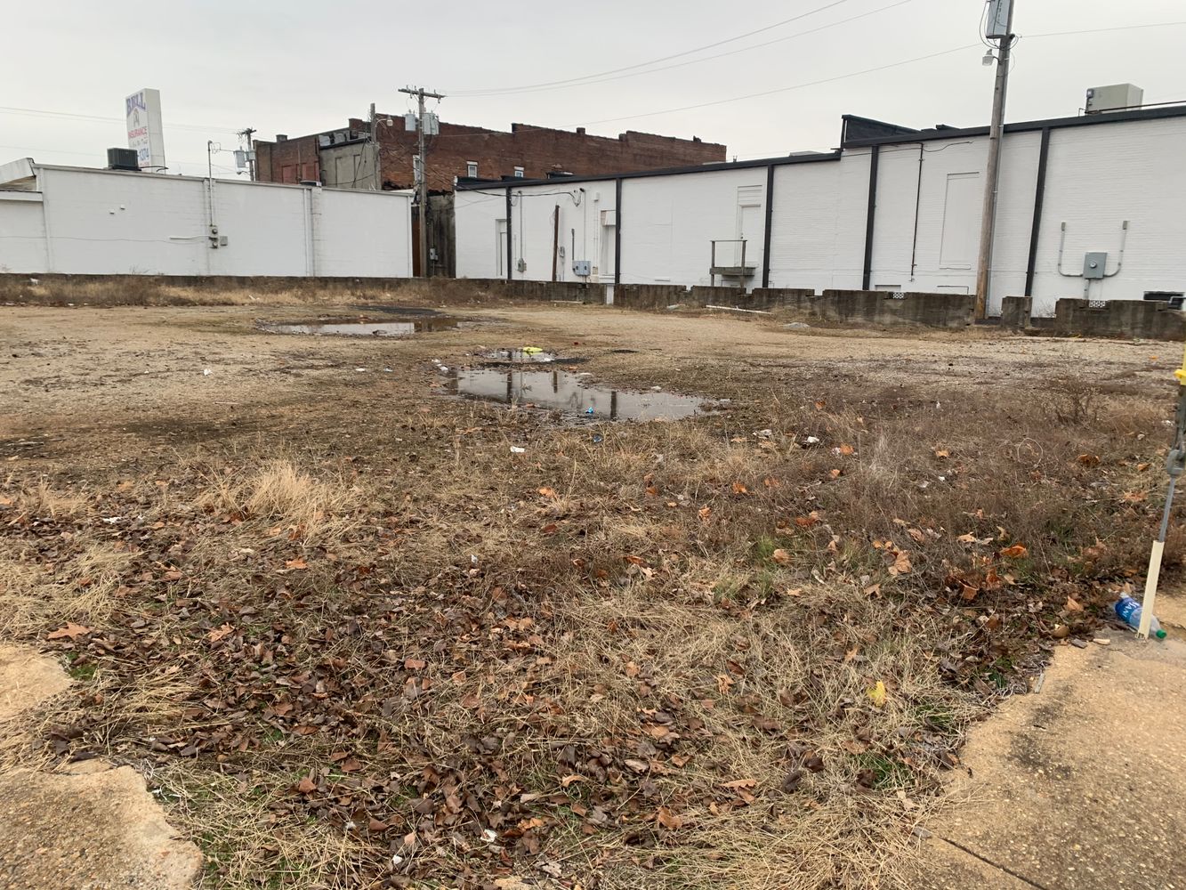 Cochran: Cedar, Souder, MO 65773